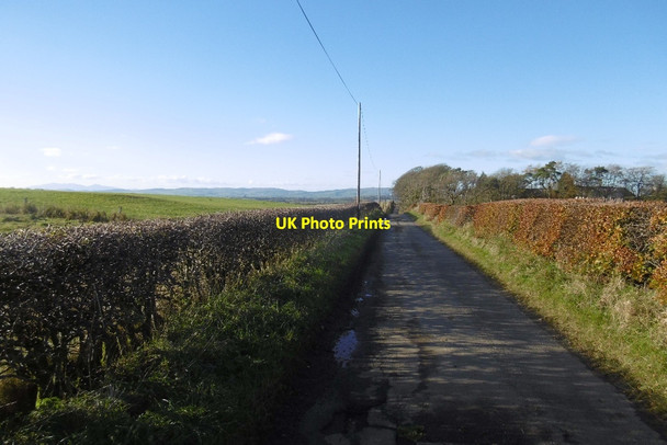 Photo 6"x4" Road, Halket Halket c2016