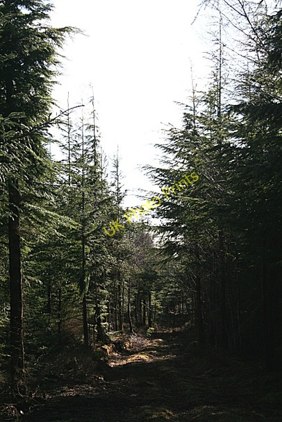 Photo 6"x4" Light at the End of the Tunnel? Blackburn\/NJ2958 c2009