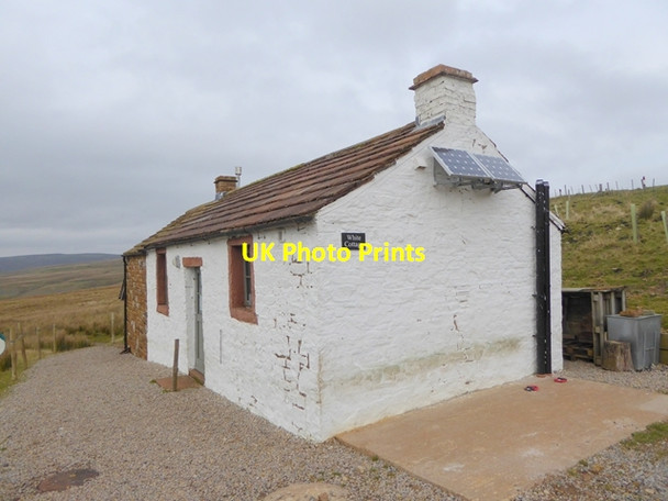 Photo 6"x4" White Cottage Busk\/NY6042 c2016 P1