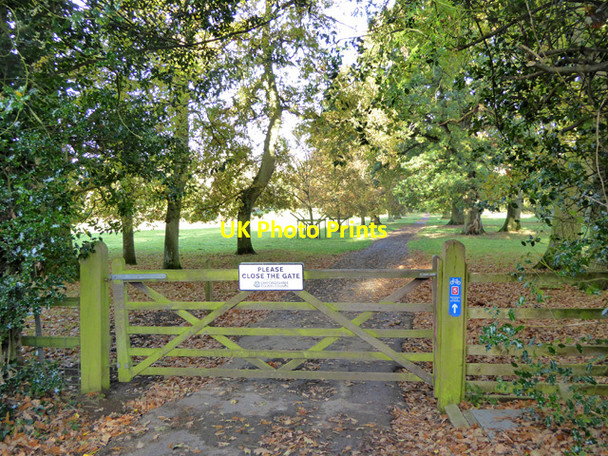 Photo 6"x4" Gated road north from Over Worton Over Worton c2016