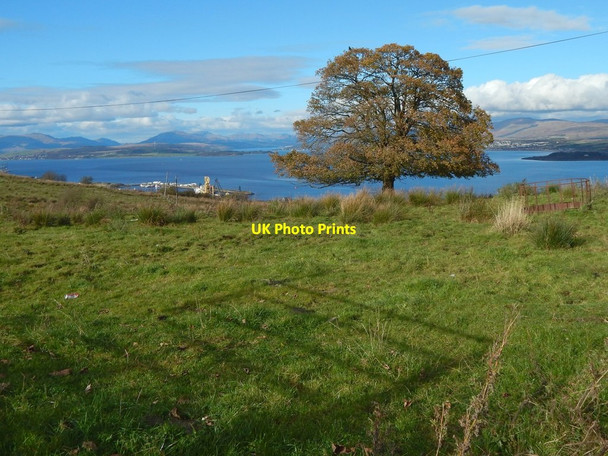 Photo 6"x4" Grassland beside Dougliehill Road Port Glasgow c2016