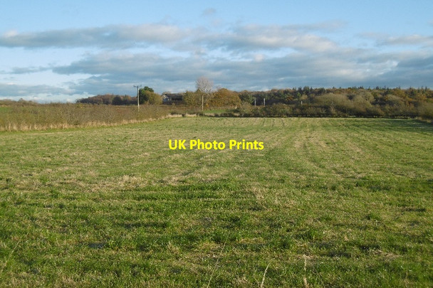 Photo 6"x4" Field, Bannoch Kilwinning c2016