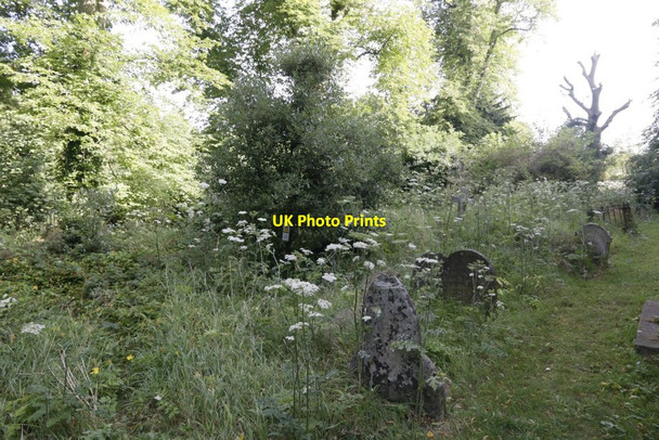 Photo 6"x4" Churchyard on the North Side Oxford\/SP5106 c2016