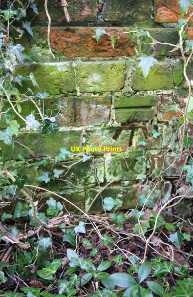 Photo 6"x4" Benchmark on barn at Pearce's Farm Wokingham c2015