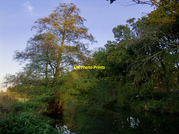 Photo 6"x4" Along the Broadmead Cut in November Send Marsh c2016