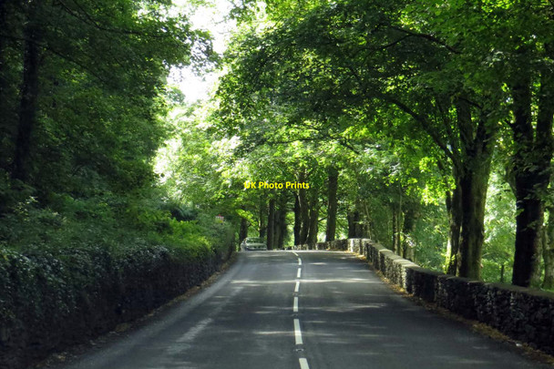 Photo 6"x4" The A470 heading south Betws-y-Coed c2015