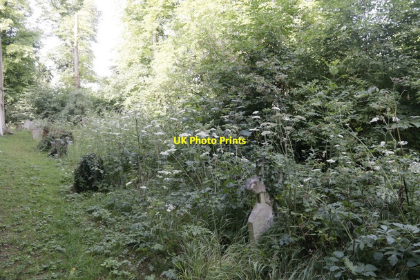Photo 6"x4" North Side Churchyard Oxford\/SP5106 c2016