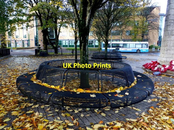 Photo 6"x4" Fallen leaves, Omagh Omagh c2016
