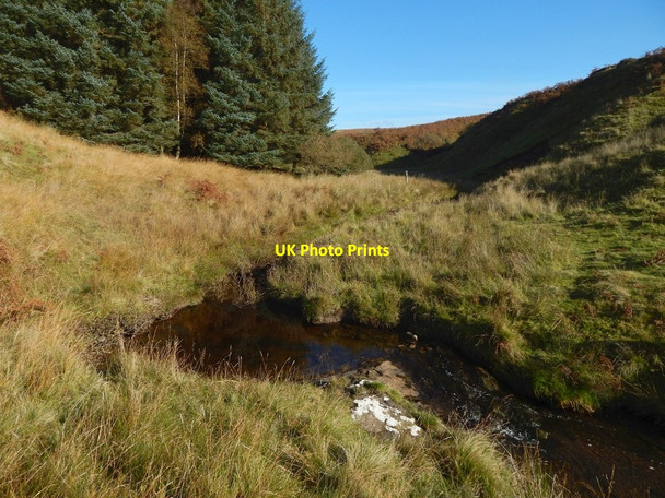 Photo 6"x4" The Murroch Burn Bonhill c2016