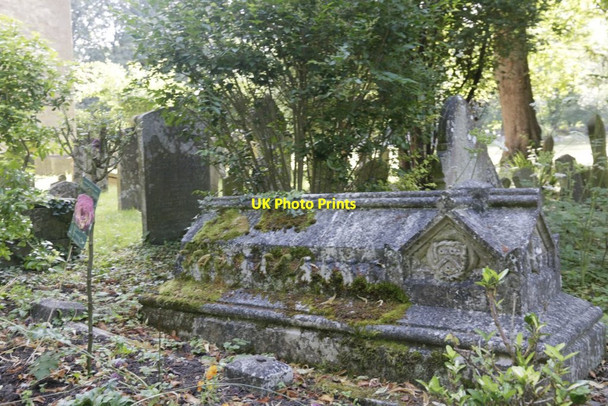 Photo 6"x4" Moss on a Tomb Oxford\/SP5106 c2016