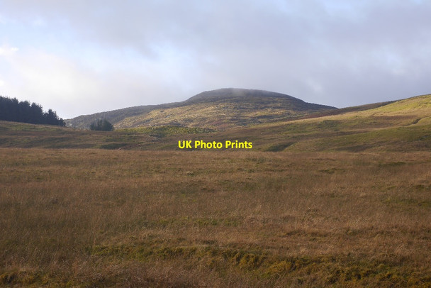 Photo 6"x4" Rough pasture by the Newton Burn Ardeonaig c2016
