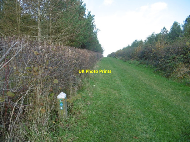 Photo 6"x4" West Compton, bridleway West Compton\/SY5694 c2016 P1