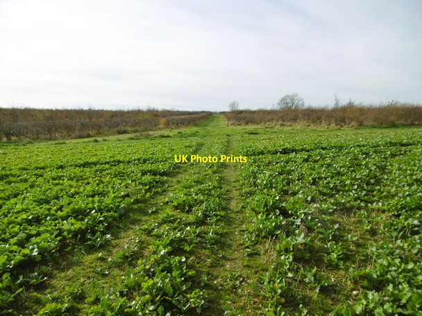 Photo 6"x4" West Compton, bridleway West Compton\/SY5694 c2016
