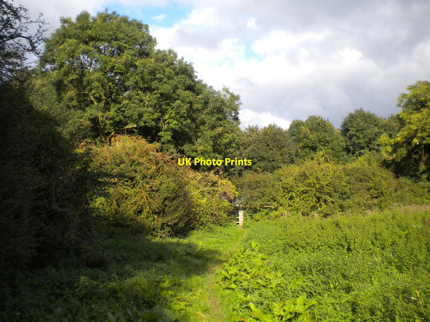 Photo 6"x4" Footpath approaching Stoke Lane west of Stoke Bardolph Stoke Bardolph c2016