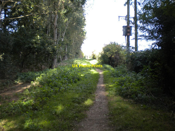 Photo 6"x4" Footpath to Stoke Bardolph (1) Stoke Bardolph c2016