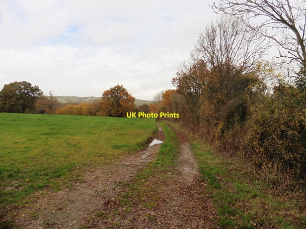 Photo 6"x4" Farm track, north of Uplowman Road Chevithorne c2016