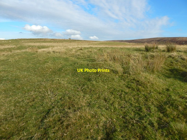 Photo 6"x4" Junction of old field boundaries Bonhill c2016