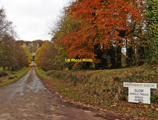Photo 6"x4" Entrance drive, Chevithorne Barton Chevithorne c2016