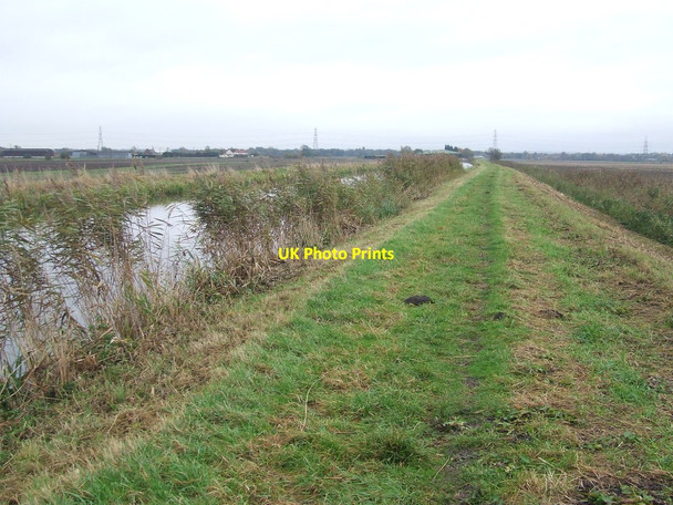 Photo 6"x4" Banks Of Burwell Lode Reach\/TL5666 c2016