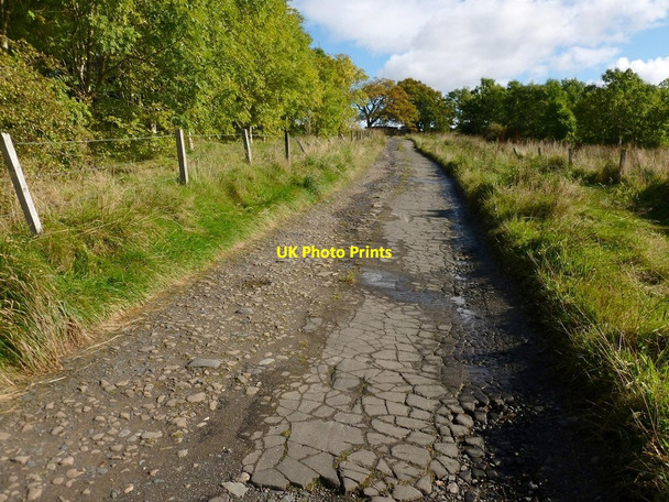 Photo 6"x4" Track to Highdykes Farm Alexandria c2012