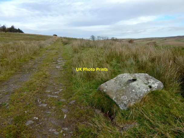 Photo 6"x4" Core path north-east of Highdykes Farm Alexandria c2016