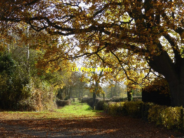Photo 6"x4" Footpath in Earl's Croome Baughton c2016