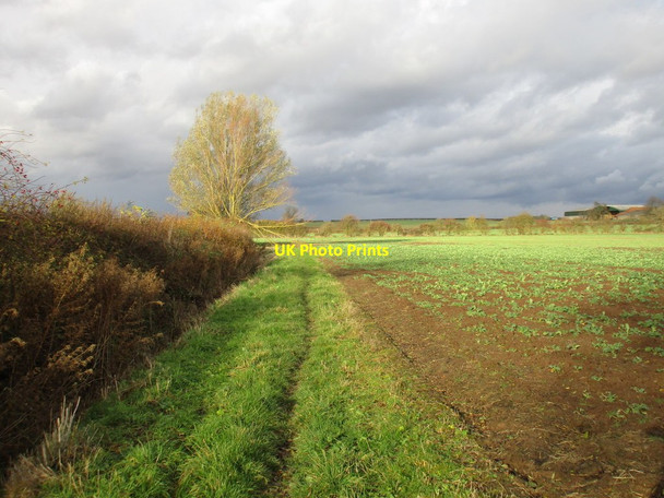 Photo 6"x4" Footpath to Retford Road East Drayton c2016