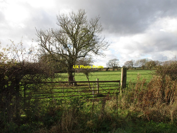 Photo 6"x4" Gate and grass field East Drayton c2016