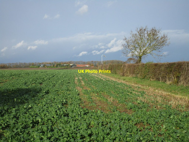Photo 6"x4" View towards Cowsland Farm Little Gringley c2016