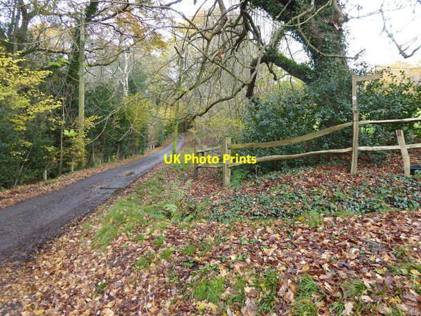 Photo 6"x4" Junction of footpath and Buncton Lane on the High Weald Landscape Trail Bolney c2016
