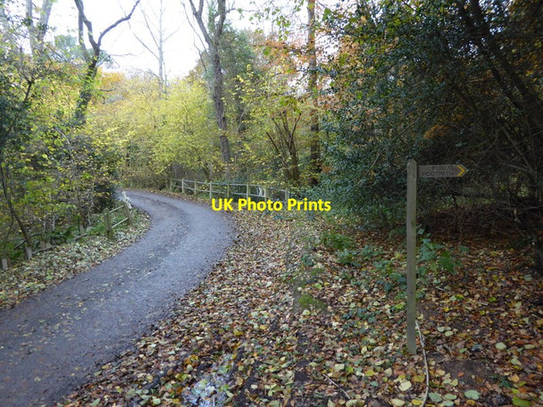 Photo 6"x4" Footpath leaves Buncton Lane by sharp bend Bolney c2016