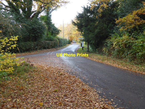 Photo 6"x4" Looking west on Broxmead Lane Bolney c2016