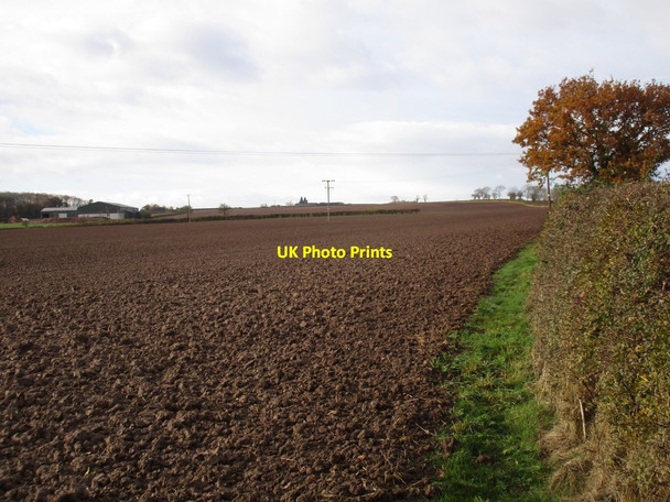 Photo 6"x4" Ploughed fields and Woodhouse Farm South Leverton c2016