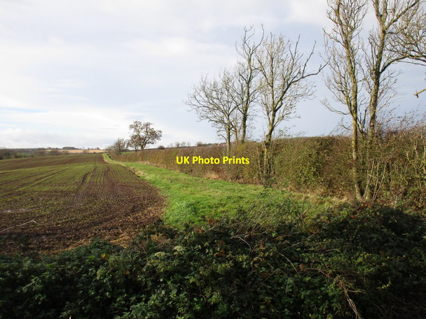 Photo 6"x4" Cowsland Road South Leverton c2016
