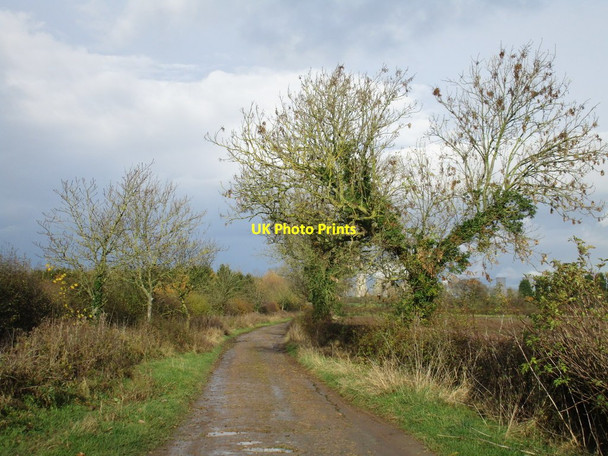 Photo 6"x4" Millfield Road South Leverton c2016