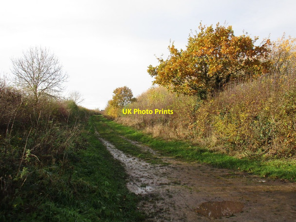 Photo 6"x4" Cowsland Road South Leverton c2016