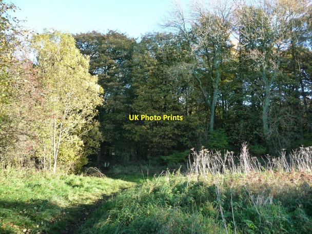 Photo 6"x4" Public footpath south-east into Park Wood Beck Side\/SD3780 c2016