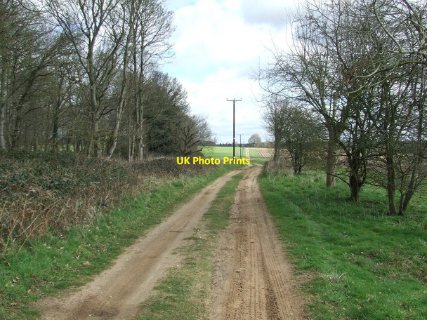 Photo 6"x4" Icknield Way Barnham\/TL8779 c2016