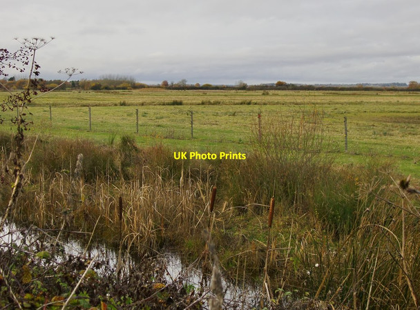 Photo 6"x4" Otmoor, east of Lower Farm Noke c2016