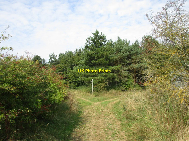 Photo 6"x4" Keep to the left for the Viking Way Saltby c2016