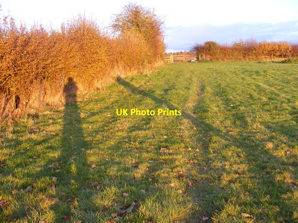 Photo 6"x4" Trysull Shadows Ounsdale c2016