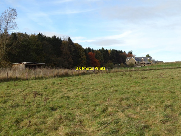 Photo 6"x4" Middle Barton Thrunton c2016