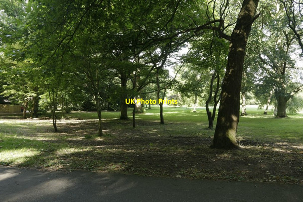 Photo 6"x4" Trees in the Park Oxford\/SP5106 c2016