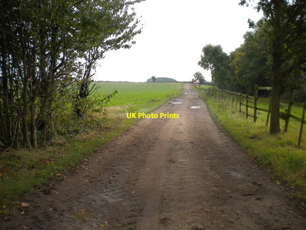 Photo 6"x4" Farm track north of Newton (1) Newton\/SK6841 c2016