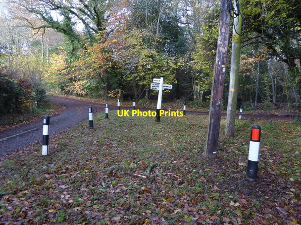 Photo 6"x4" Looking west at junction called Three Oaks Green Crabtree\/TQ2225 c2016