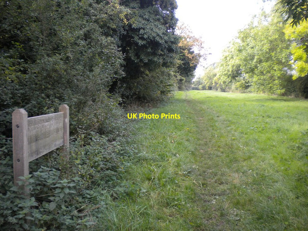 Photo 6"x4" Bridgford Street wild flower meadow, East Bridgford East Bridgford c2016