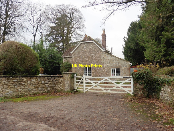 Photo 6"x4" Chardstock Lodge Chard c2016