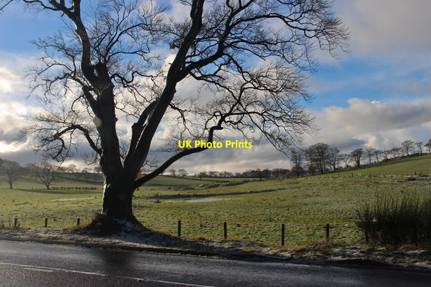 Photo 6"x4" Farmland near Brackenhill Catrine c2016