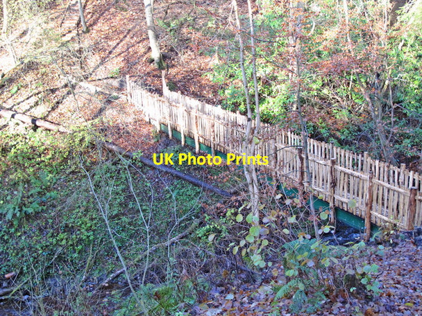 Photo 6"x4" Footbridge over the Philip Burn in Deneholme Wood (2) Allendale Town c2016