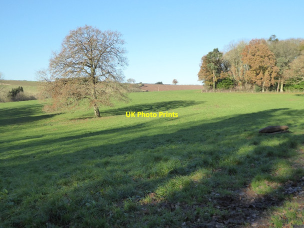 Photo 6"x4" Farmland  near Hatfield Court Pudleston c2016